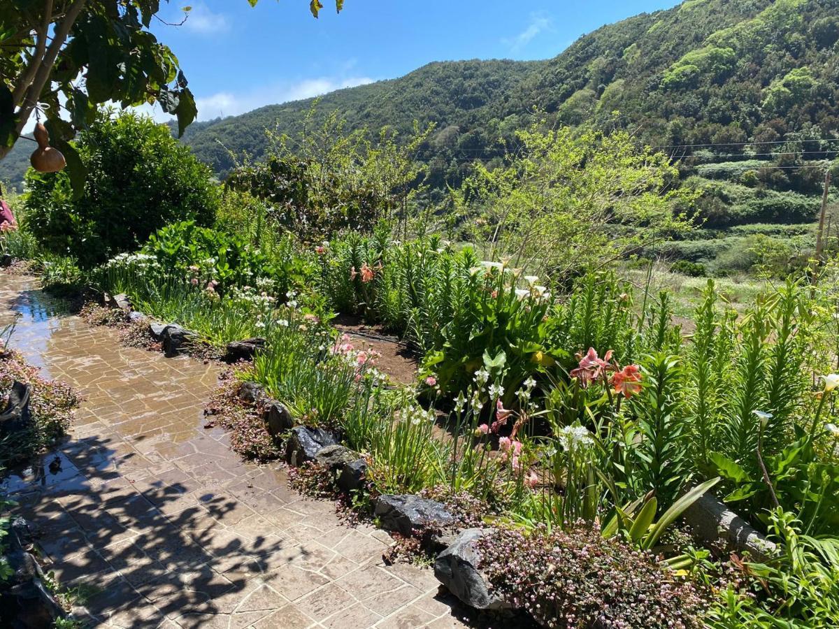 Casas Medina Villa Agulo Eksteriør billede