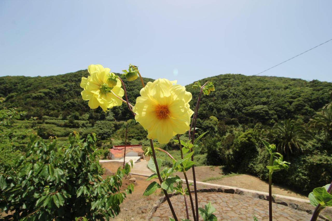 Casas Medina Villa Agulo Eksteriør billede